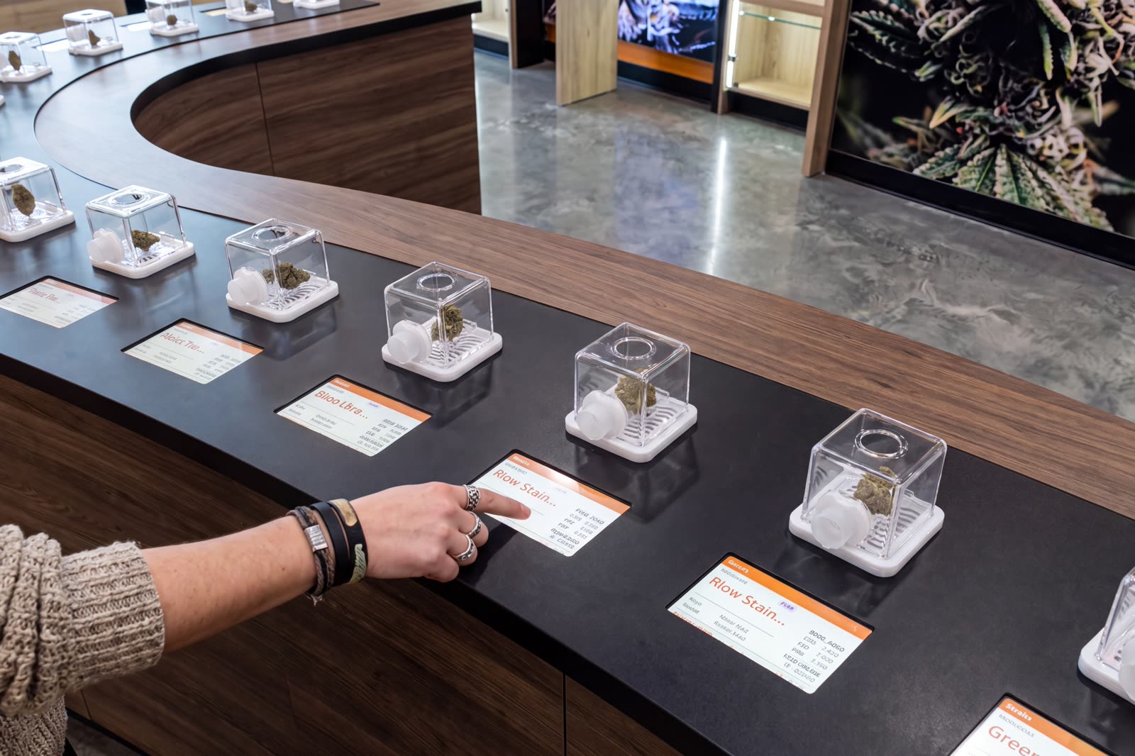 Unity Rd. dispensary interior — curved sensory flower bar with smell jars